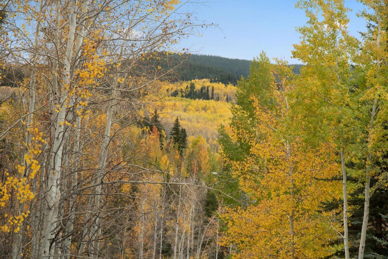 Вилла Two Creeks By Snowmass Vacations Аспен Экстерьер фото